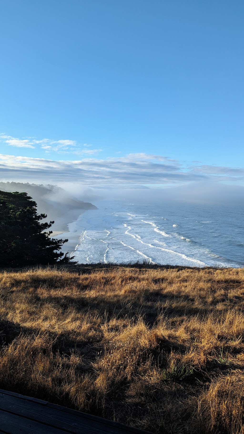 California's Pacific Coast
