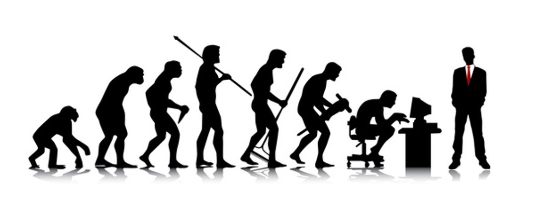 Ape to man evolution